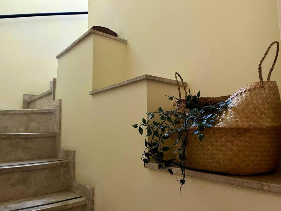 Apartamento Suite Alameda De Hercules 塞维利亚 外观 照片