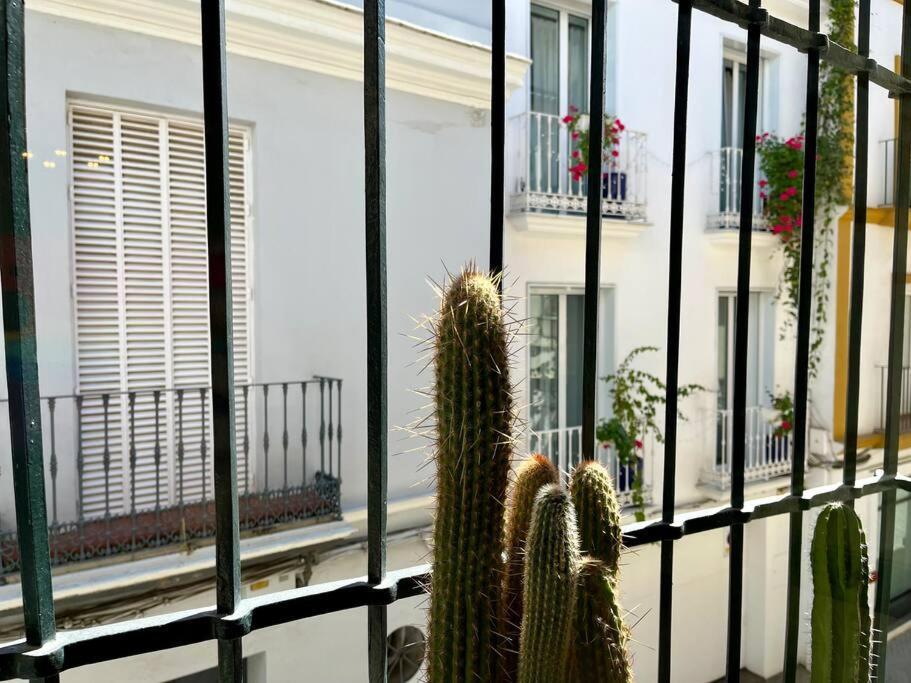 Apartamento Suite Alameda De Hercules 塞维利亚 外观 照片